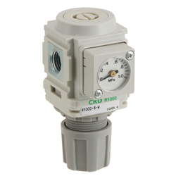 Bộ Điều Áp R6000-20-W