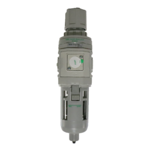BỘ LỌC KHÍ W3000-10-W-F